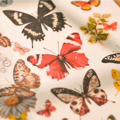 Butterfly-Rub-OnStickers-Scrapbooking-4