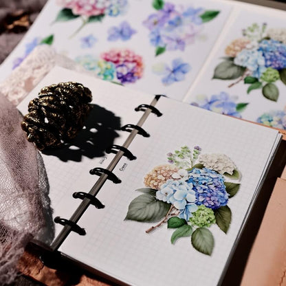 Hydrangea-Rub-OnStickers-5