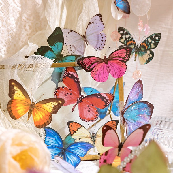    butterflies